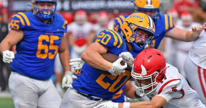 DuPage and suburban Cook County Week 5 IHSA football previews