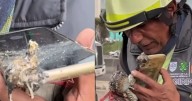 Celular hallado en zona cero de la explosión en Iztapalapa ayuda a encontrar a familia de una estudiante