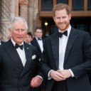 Prince Harry On King Charles III Reunion
