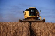 La actividad económica creció 2,9% Interanual, pero cayó 0,1% mensual