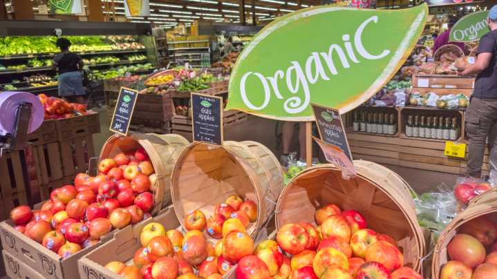 Are There Any Trader Joe's Stores Outside The US?