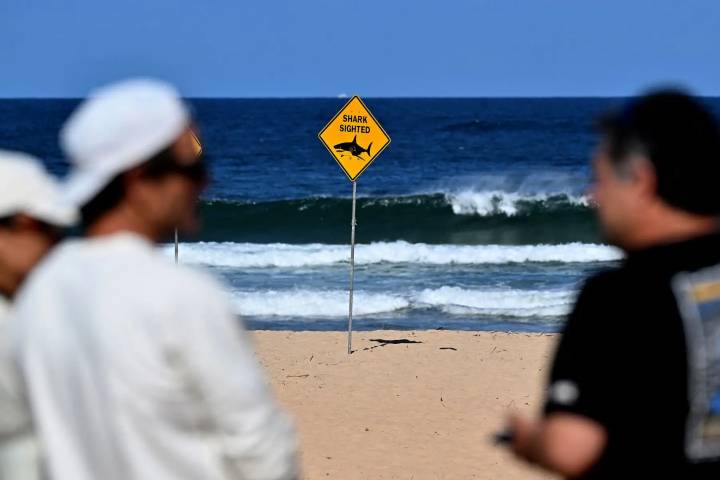 Un tiburón mata a surfista en playa de Australia y obligan a cerrar balnearios