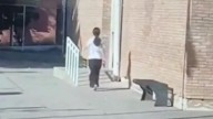 Mendoza: una adolescente se atrincheró con un arma en una escuela y disparó tres veces