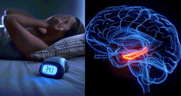 El sueño, clave en la prevención del Alzheimer
