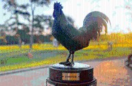 Sanderson Farms Championship returns to Jackson. Here’s what to know