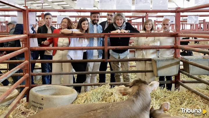 Carlos Martínez defiende el Pacto de Estado para el campo y exige el cese inmediato de Quiñones