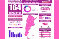 Hubo 164 femicidios en lo que va del año: el 42% de los atacantes eran pareja de la víctima