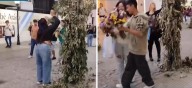 Una primavera que no duró: los tucumanos dejaron sin flores los arreglos del Paseo Independencia