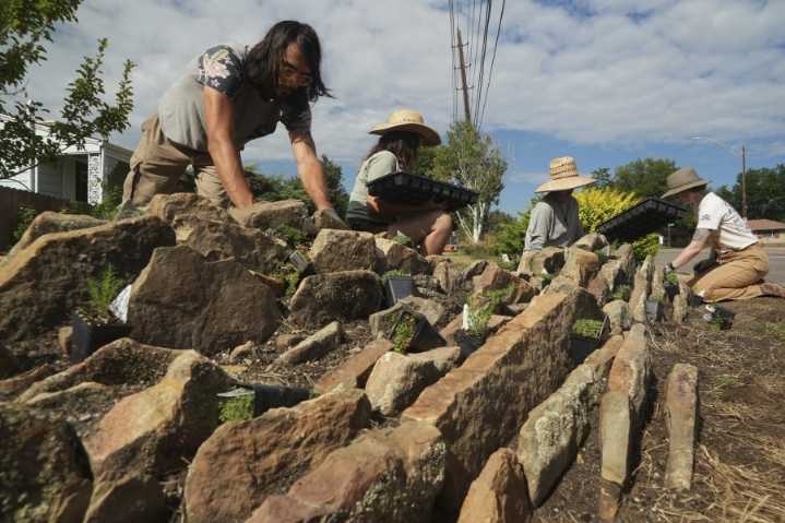 Low-water landscapes grow as areas become drier