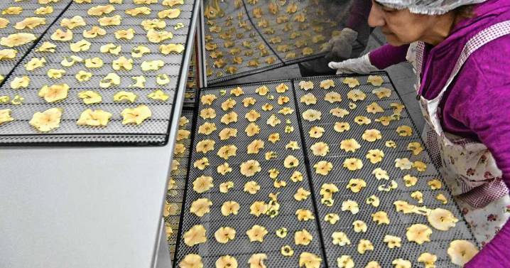 Roca diversifica la producción e impulsa la idea de una alimentación más sana