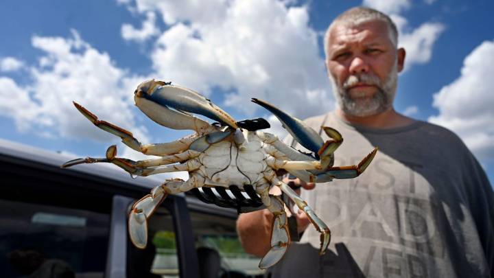 Picturing Maryland: A photo every day in 2025 part 5