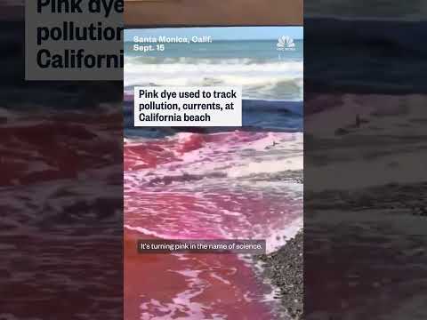 Pink dye tracks pollution at California beach