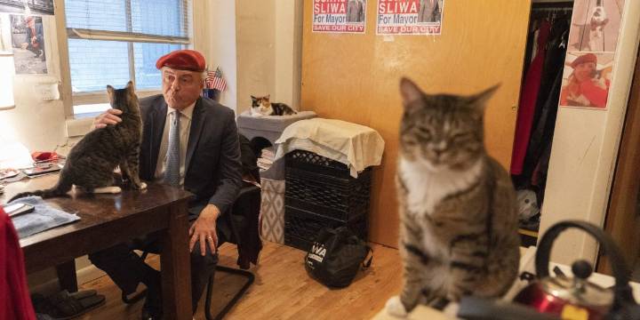 With big business desperate for a Zohran rival, Trump rips GOP candidate Curtis Sliwa as a cat guy who's 'not exactly prime time'