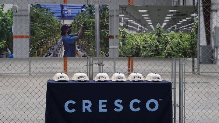 Large-scale marijuana cultivator launching its first Kentucky facility