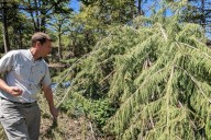 San Antonio Botanical Garden launches initiative to ...