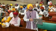 Punjab: Mann blames IMD for off-mark predictions, says Opp playing politics instead of helping state