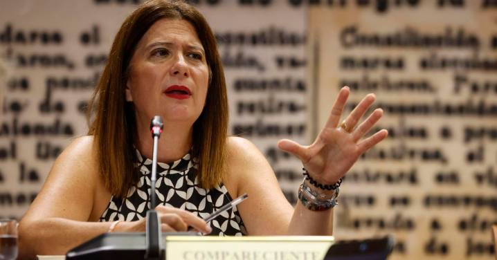 Leire Díez niega relación con Santos Cerdán y enmarca sus "investigaciones" sobre la UCO en la elaboración de un libro