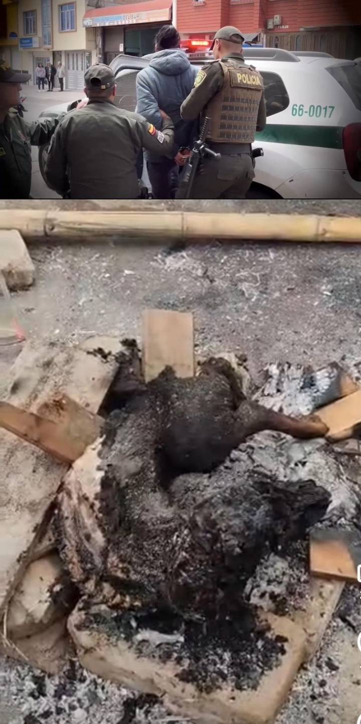 Crueldad animal en Pasto: responsable ya está bajo custodia y será judicializado