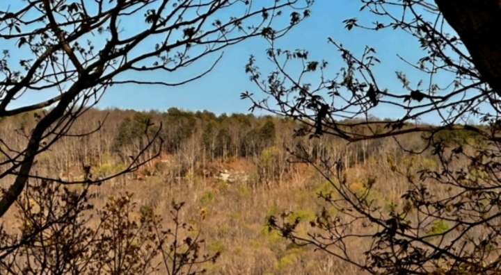 Huntsville developer claims unfair enforcement of Green Mountain tree regulations
