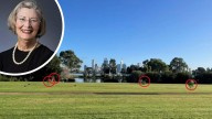 South Perth councillor Jennifer Nevard submits revocation regarding controversial removal of six trees
