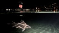 Protecting the Mediterranean’s marine life