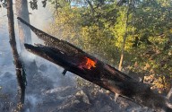 Two-alarm brush fire erupts in Stony Brook Reservation; firefighters use foam and 3,000 feet of hose to put it out