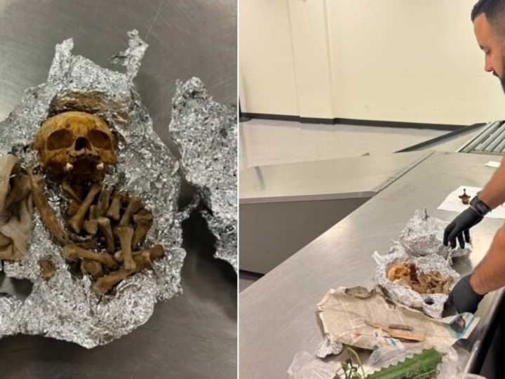 Intentó entrar al país con un cráneo en un papel aluminio para un “ritual”