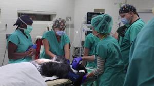Chimpanzee has ground-breaking spinal surgery to remove tumor