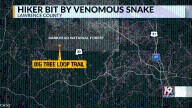 'I didn't think I'd ever leave that spot': Hiker shares survival story after being bit by snake