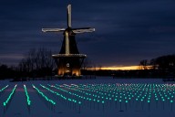Tulip Time blooms in the winter with new Dutch festival in December