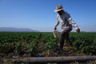 Exigen respuestas sobre mal trato en Centro del ICE en Camarillo