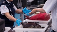 Calgary airport security screeners at 'breaking point' over poor working conditions, union says