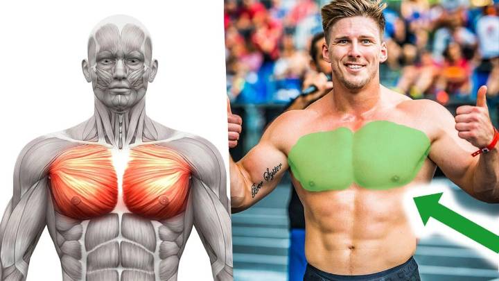 8 Unilateral Exercises to Correct Muscle Imbalances