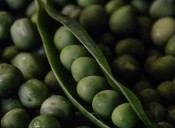 Seguridad alimentaria: Un pacto de país