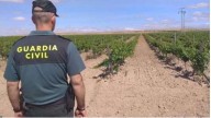 La Guardia Civil investiga el hallazgo de un cadáver calcinado en Oliva (Valencia) en un lugar donde hubo un incendio
