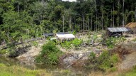 Alerta en Venezuela: Nuevo mosquito letal de malaria detectado en Bolívar