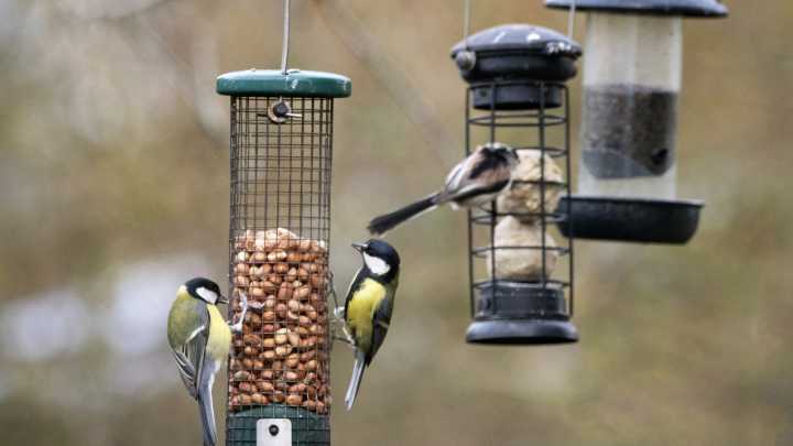 Don't Toss An Old Or Broken Bird Feeder When There Are 10 Fun Ways To Repurpose Them