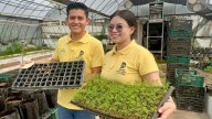 Estudiantes desarrollan proyectos agropecuarios en Icamex