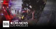 Driver leaves passengers behind after crashing into a tree in Encino