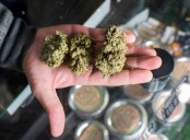 Man accused of selling marijuana to 12-year-old outside Oakland County elementary school