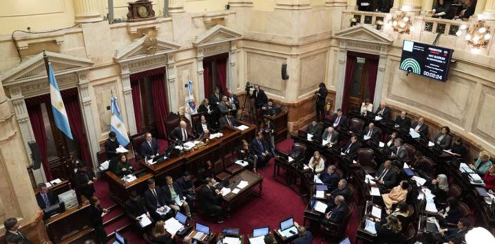 Otro revés en puerta: el Senado avanza contra los decretos de Milei