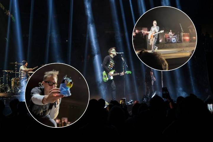 Blink-182 Makes Night Extra Special For Upstate New York Fan