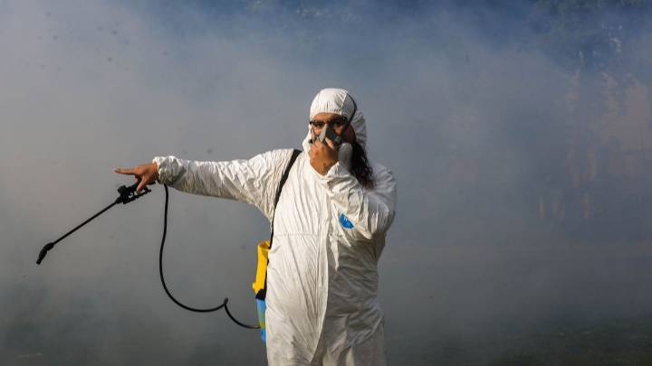 Volvieron los mosquitos a Rosario: qué factores provocaron el molesto regreso