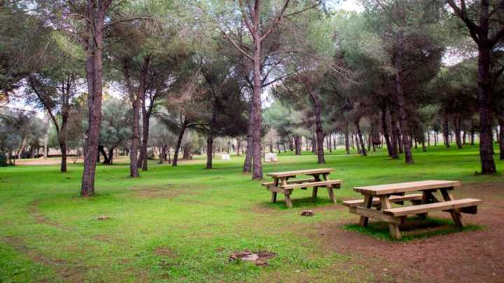 El desconocido parque de Sevilla perfecto para un día de pícnic rodeado de naturaleza