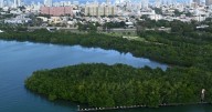 Crecimiento de Puerto Rico depende de fondos que no corren: 67% de la recuperación aún sin desembolsar