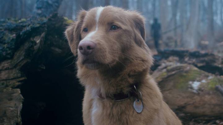 A Highly Anticipated Horror Release Proves That This Emotionally Manipulative Trend Needs to End