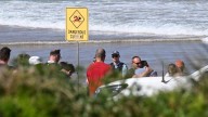 'Great tragedy' as surfing dad fatally mauled by shark