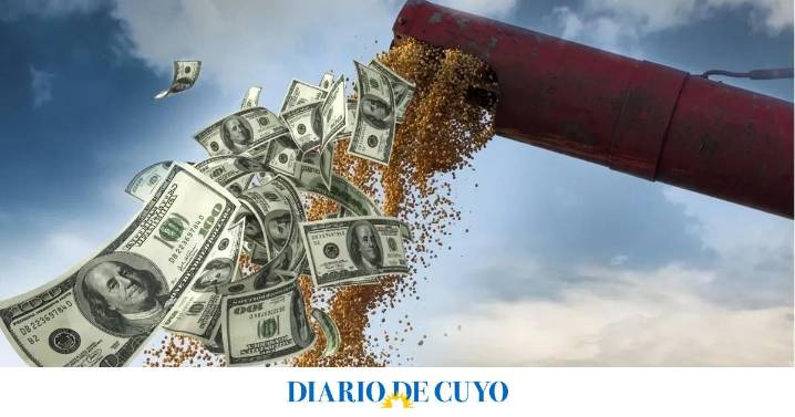 Moneda argentina ante avalancha de dólares por la agroexportación