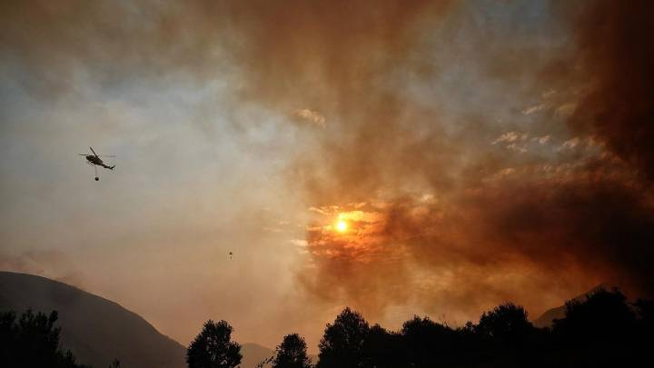Gestionar el 1% de los bosques para prevenir incendios costaría mil millones de euros al año