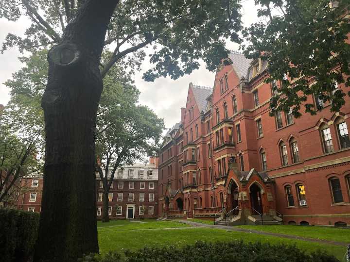 Trump admin recommends Harvard be excluded from federal funding
